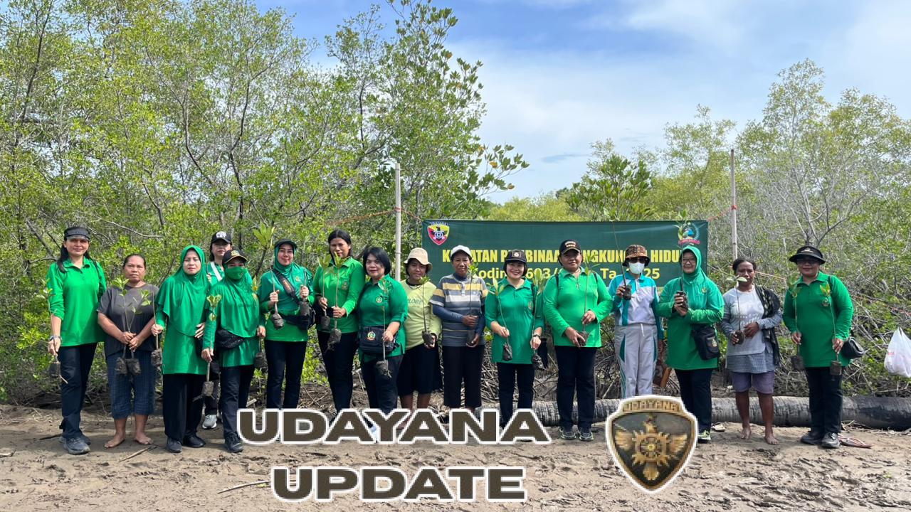 Kodim 1603/Sikka Tanam Mangrove di Magepanda, Wujudkan Kepedulian Lingkungan Pesisir