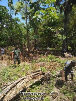 Babinsa Pantau Pembersihan Lahan KDKMP Desa Hundihopo