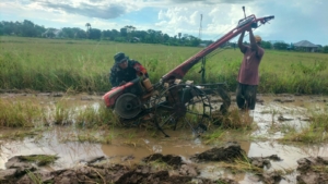 Babinsa Lewa Bantu Petani Bajak Sawah dengan Mesin Traktor