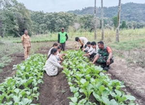 Babinsa Koramil 02/Reok Hadirkan Energi Positif untuk Petani Sayuran