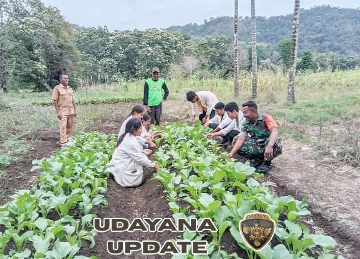 Babinsa Koramil 02/Reok Hadirkan Energi Positif untuk Petani Sayuran