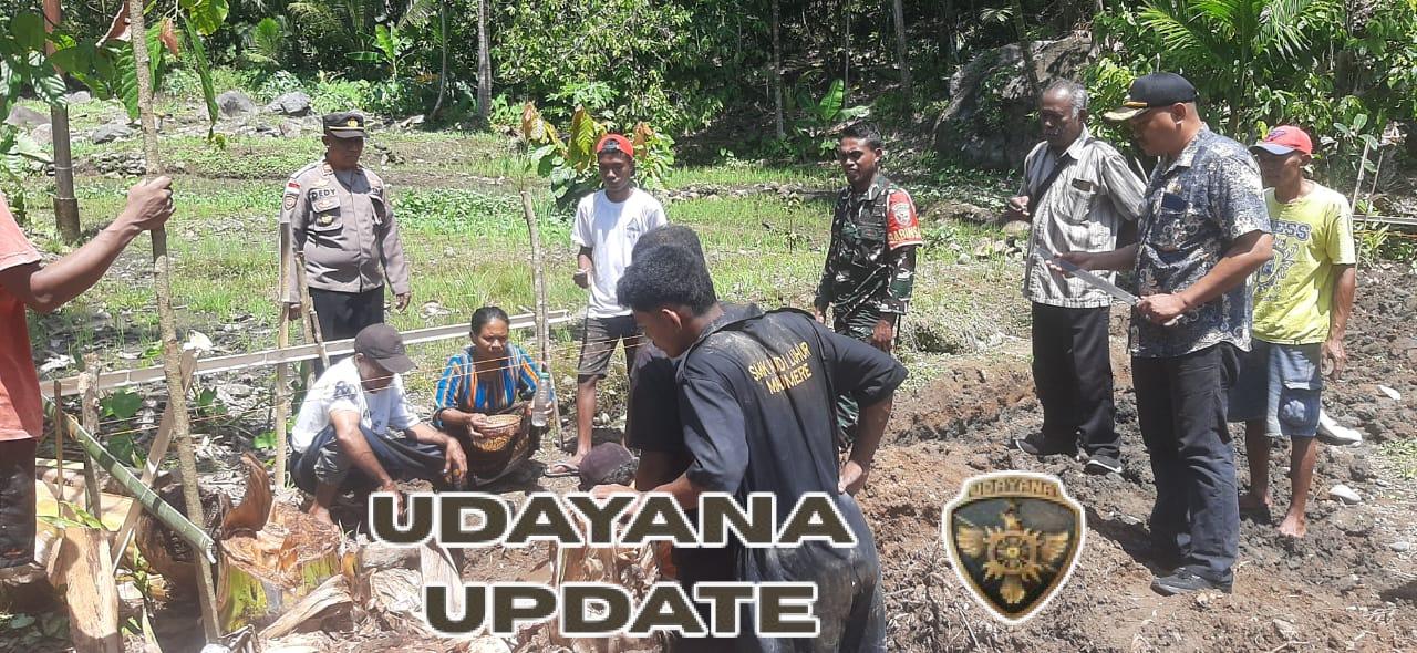 Babinsa Koramil 1602-02/Wolowaru Gelar Komsos, Pamwil, dan Karya Bakti di Desa Butanalagu