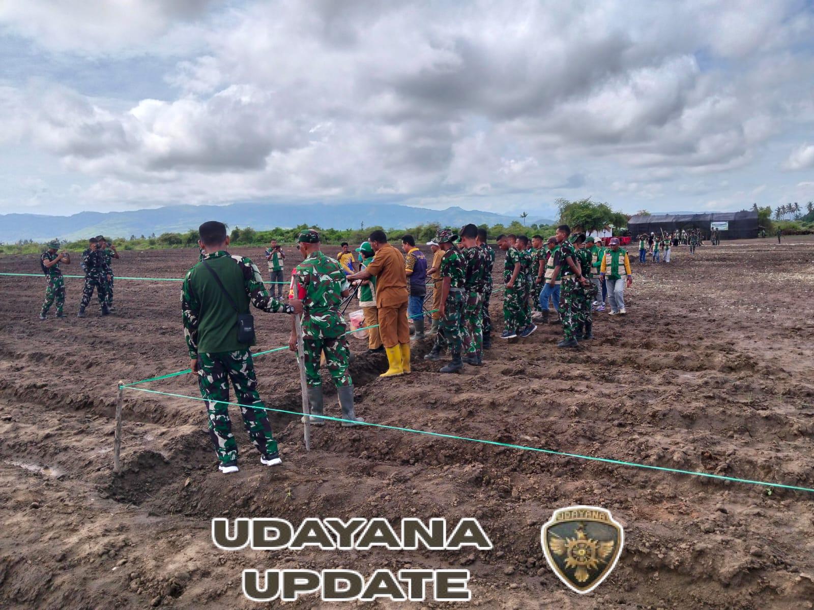 Babinsa Aesesa dan Yonif 834/Wm Gelar Tanam Jagung untuk Perkuat Ketahanan Pangan di Nagekeo