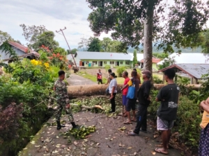 Babinsa Blatatatin Cek Lokasi Pohon Tumbang yang Timpa Rumah Warga di Kangae