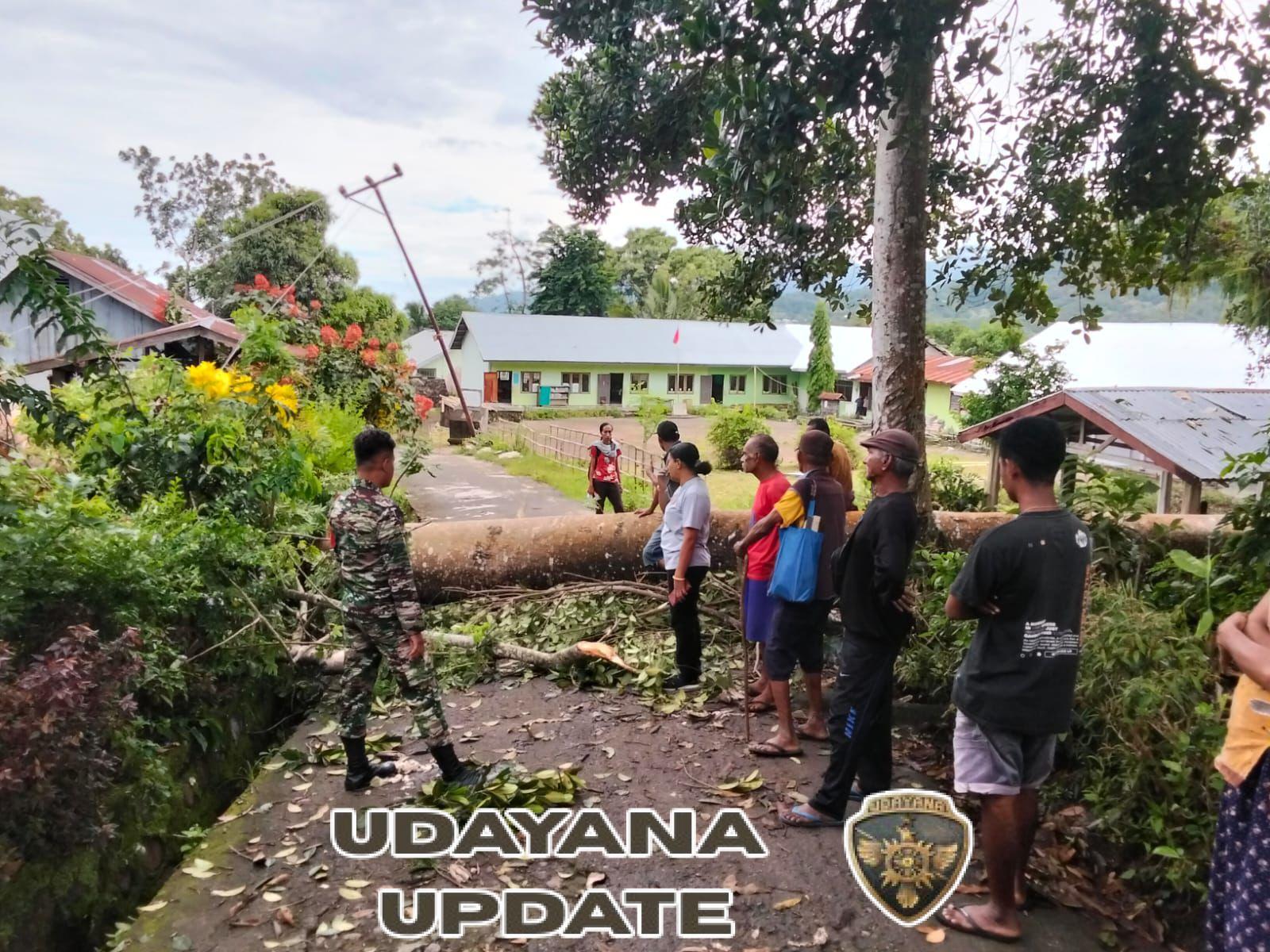 Babinsa Blatatatin Cek Lokasi Pohon Tumbang yang Timpa Rumah Warga di Kangae