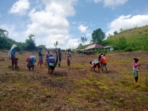 Babinsa Serka Ramli Gelar Komsos Ketahanan Pangan Bersama Warga Desa Sodana