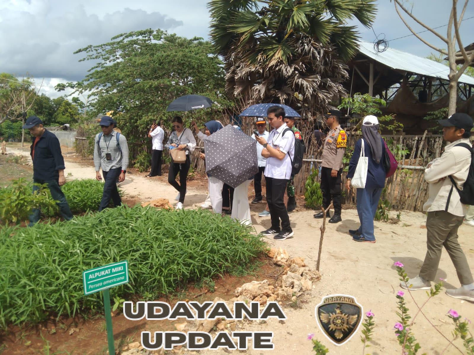 Babinsa Rindi Umalulu Dampingi Supervisi Internasional IFAD di Desa Patawang