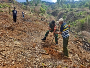 Program Penghijauan dan Pemanfaatan Lahan Di Lakukan Koramil 1608-03/Sape