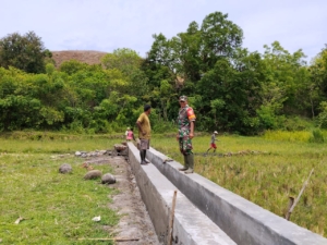 Babinsa Koramil 1602-04/Maurole Dampingi Penyelesaian Pengerjaan Irigasi di Desa Tou Timur