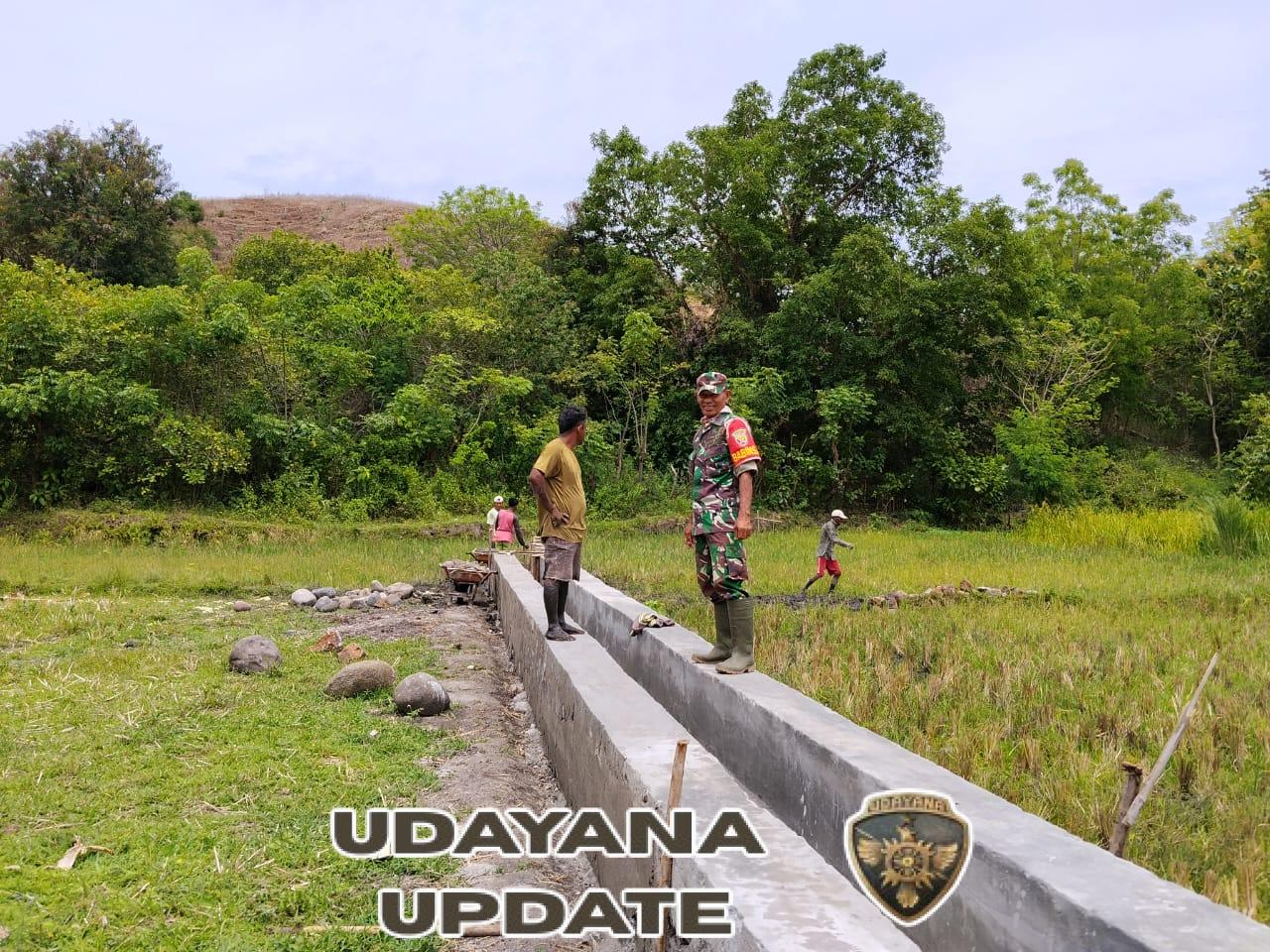 Babinsa Koramil 1602-04/Maurole Dampingi Penyelesaian Pengerjaan Irigasi di Desa Tou Timur