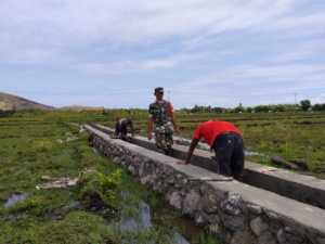 Babinsa Koramil Maurole Dampingi Pengerjaan Saluran Irigasi Kelompok Tani Iju Ana Bama