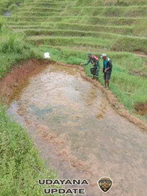 Babinsa Koramil 1630-03/MP Dampingi Petani Desa Tentang Dukung Ketahanan Pangan
