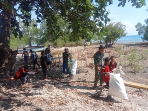 Babinsa Kabola Tanam 1.200 Mangrove dan Bersihkan Pesisir Pantai Alor