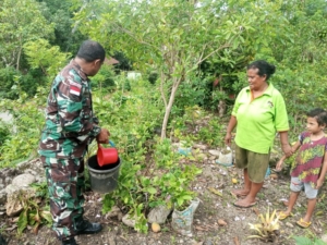 Anggota Satgaster Pos Halibete 2 Ajak Warga di Perbatasan Gunakan Pupuk Organik Cair Untuk Tanaman Pertanian