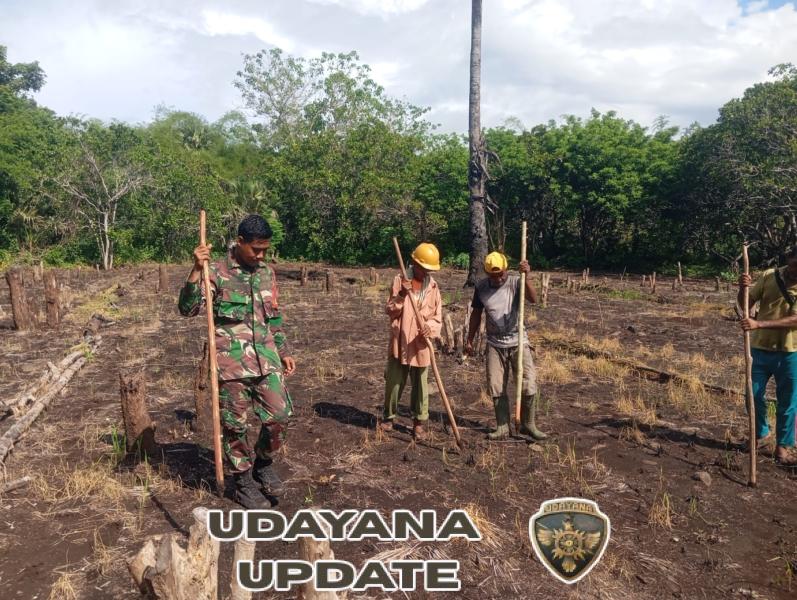 Babinsa Wulanggitang Dampingi Warga Tanam Padi dan Jagung