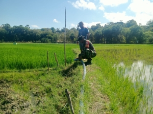Babinsa Dolasi Laksanakan Komsos dan Monitoring Wilayah di Areal Persawahan Namodale