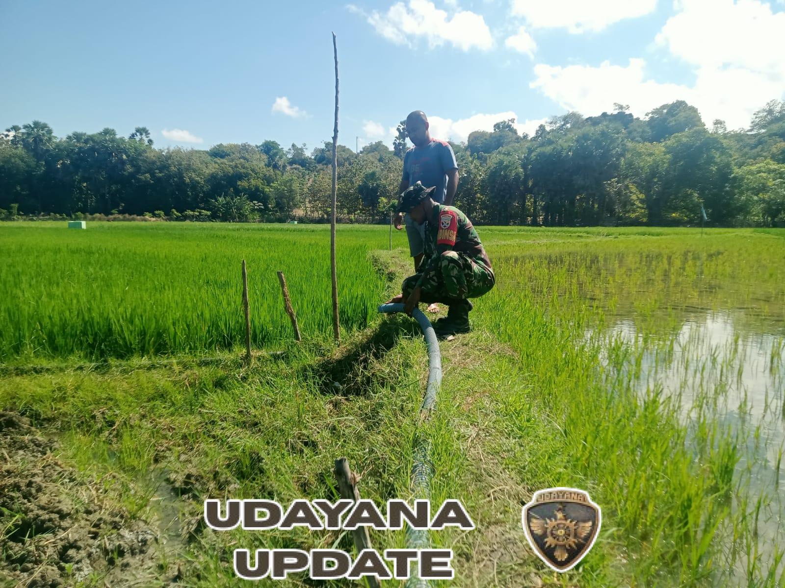 Babinsa Dolasi Laksanakan Komsos dan Monitoring Wilayah di Areal Persawahan Namodale