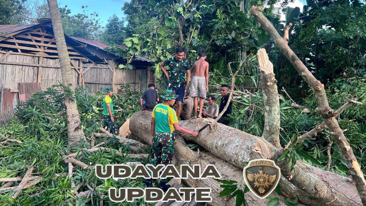 Gotong Royong Warga Alas Selatan, Satgas Pamtas Turut Membantu Pembangunan Rumah Adat