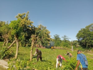 Babinsa Beru Bersama Pemdes dan Warga Laksanakan Karya Bakti di Dusun Jelenga