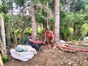 Babinsa Serda Abdullah Dampingi Petani Desa Bari, Dukung Ketahanan Pangan