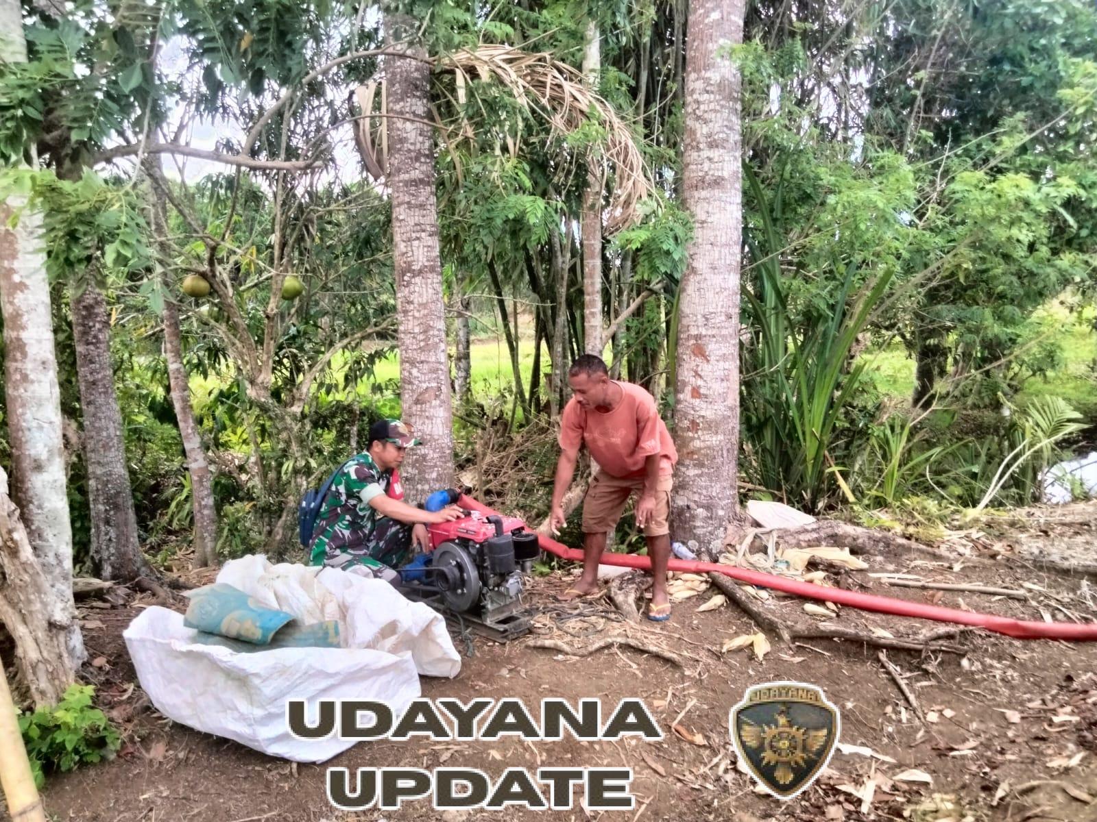 Babinsa Serda Abdullah Dampingi Petani Desa Bari, Dukung Ketahanan Pangan