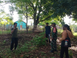 Babinsa Kodim 1627/RN Monitoring Lahan Pembangunan Koperasi Merah Putih Desa Daima
