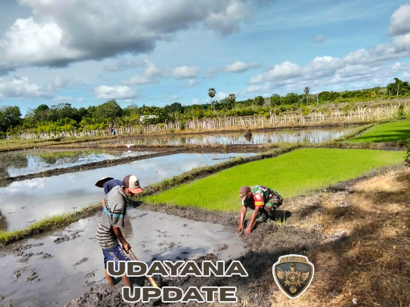 Babinsa Pahunga Lodu Dampingi Petani Siapkan Lahan Tanam di Desa Mburukulu