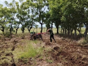 Babinsa Koramil 03/Katikutana Bantu Warga Siapkan Lahan Kebun di Wendewa Barat