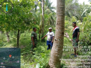 Babinsa Koramil 1602-01/Ende Cek Lokasi Pembangunan Koperasi Merah Putih di Desa Raporendu