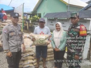 Babinsa Desa Tamekan Dampingi Penyaluran Bantuan Bibit Padi di Sumbawa Barat