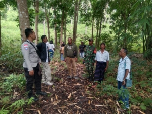 Babinsa Koramil 1602-01/Ende Laksanakan Komsos dan Pamwil di Rewarangga Selatan