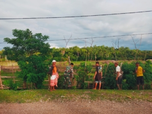 Babinsa Naitae Ajak Warga Periksa Pagar Sawah