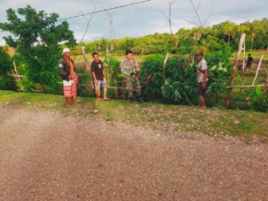 Babinsa Naitae Ajak Warga Periksa Pagar Sawah