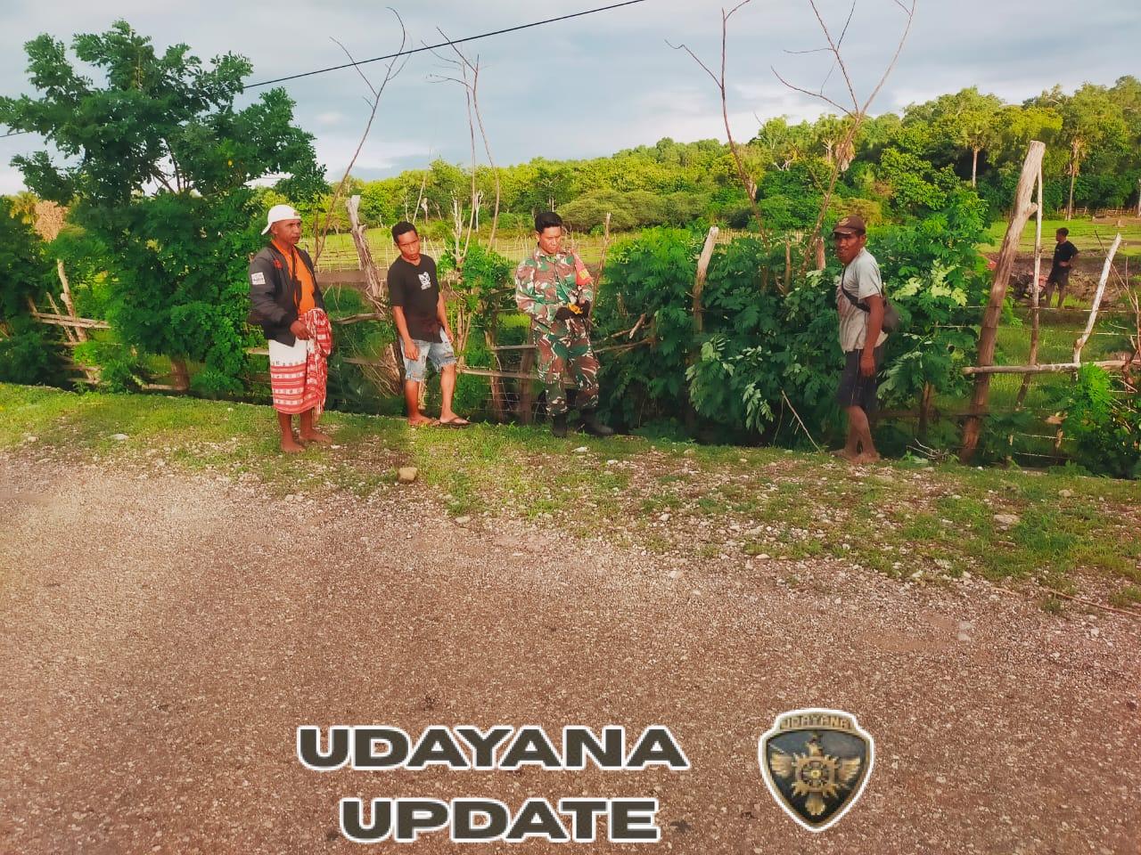 Babinsa Naitae Ajak Warga Periksa Pagar Sawah