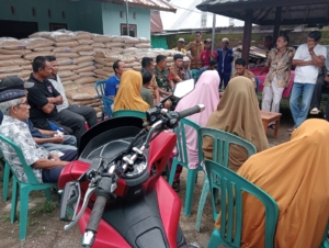 Babinsa Mataiyang Dampingi Penyaluran Bantuan Bibit Padi untuk Petani