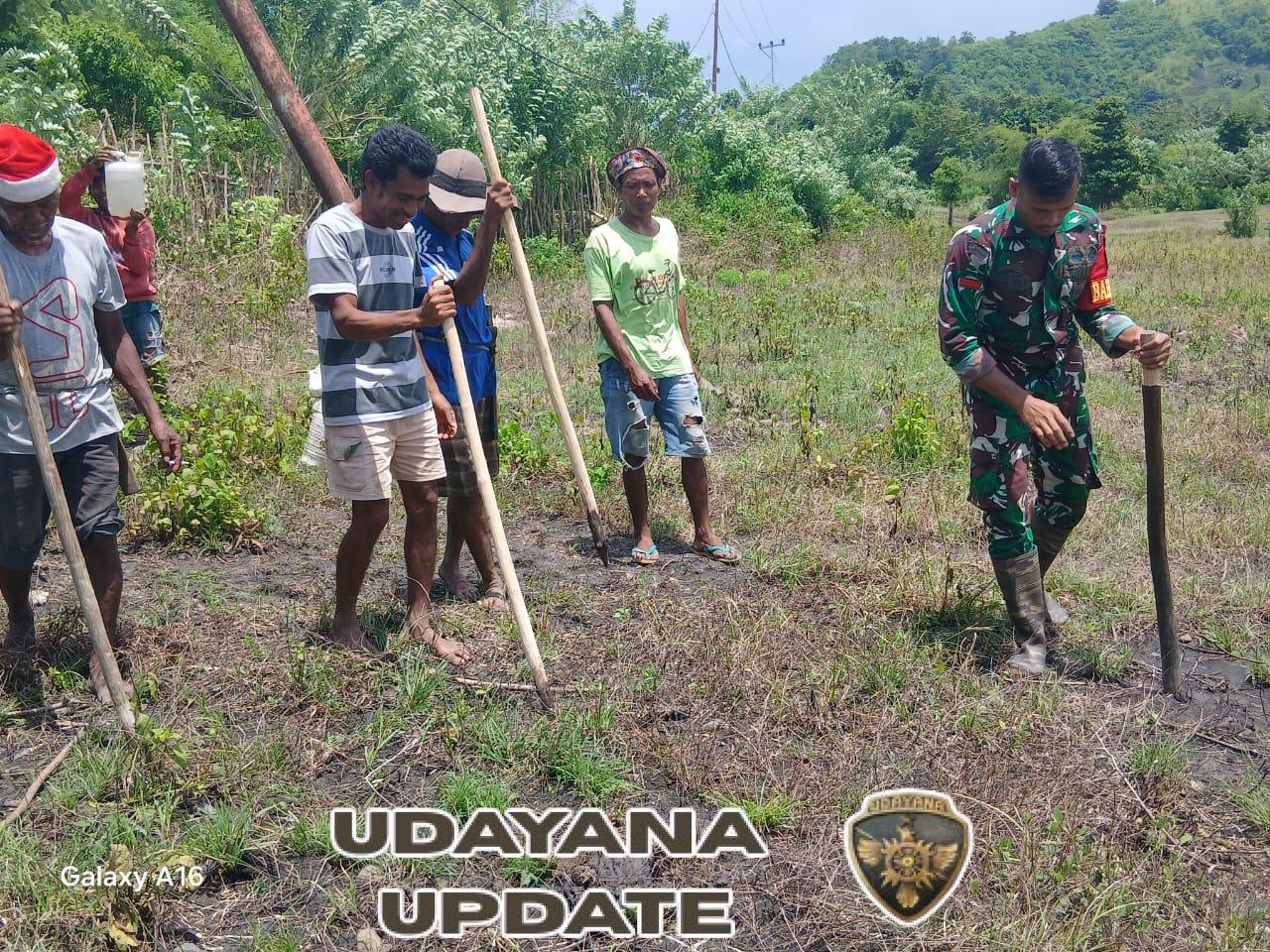 Babinsa Tabundung Dampingi Petani Tanam Padi Ladang di Desa Wudipandak