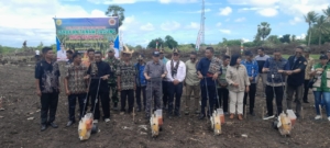 Pgs. Danramil Hadiri Penanaman Jagung Perkuat Ketahanan Pangan