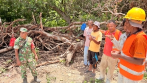 Perkuat Kamtibmas, Babinsa Laksanakan Pamwil dan Karya Bhakti di Kotabaru