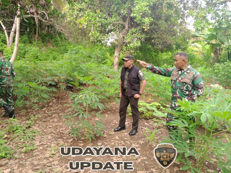 Langkah Awal Pembangunan, Dandim Tinjau Lokasi KDKMP di Empat Desa Kecamatan Lewolema