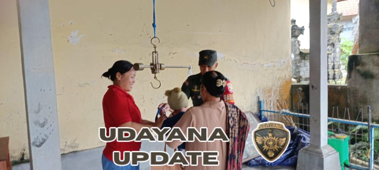 Babinsa Taro Kawal Posyandu Ubung Sari, Wujud Kepedulian TNI terhadap Kesehatan Balita