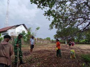 Wujud Kepedulian TNI, Babinsa Koramil 04/Tabundung Bantu Petani Tanam Padi