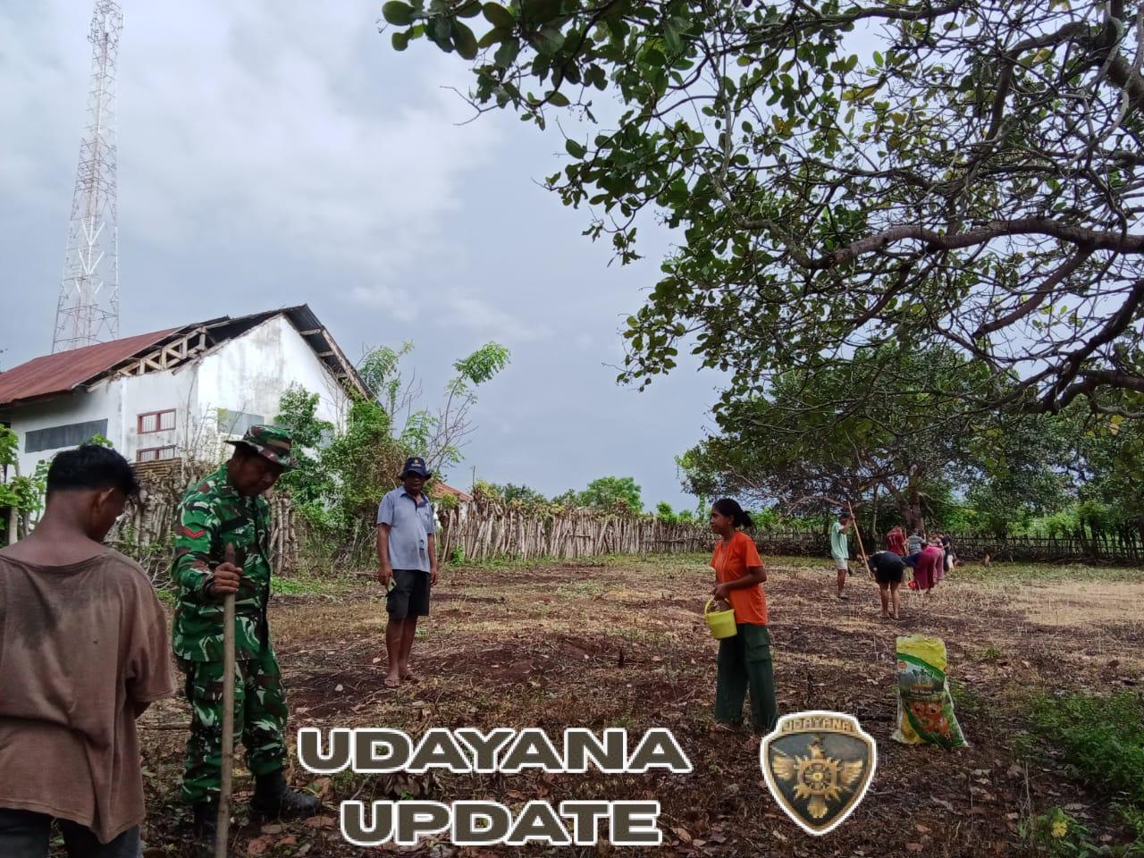 Wujud Kepedulian TNI, Babinsa Koramil 04/Tabundung Bantu Petani Tanam Padi