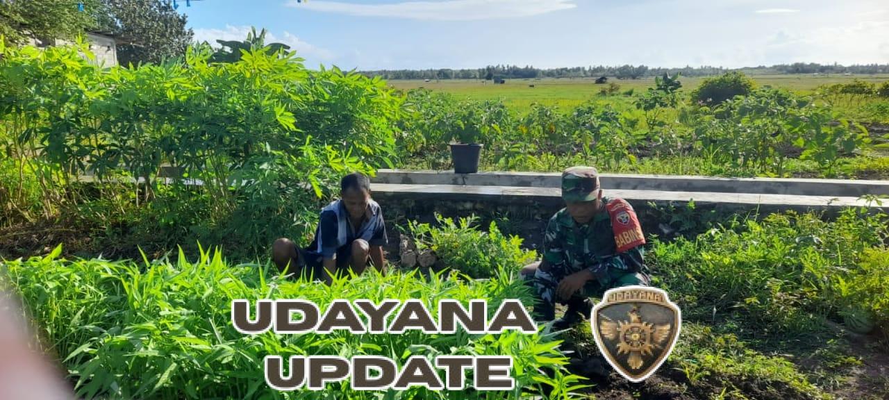 Wujud Kepedulian Babinsa, Sertu Syamsurijal Gotong Royong Bersihkan Kebun Warga