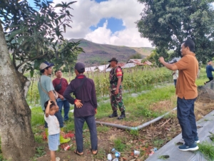 Babinsa Desa Madaprama Dampingi Warga Tanam Hortikultura untuk Ketahanan Pangan