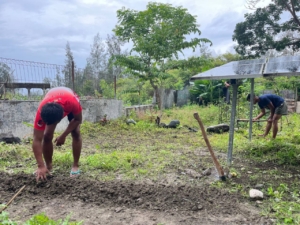 ‎Perkuat Ketahanan Pangan, Satgas Pamtas Yonarhanud 2 Kostrad Olah Lahan Menjadi Sunber Pangan