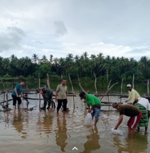 Sinergi Babinsa dan Pemerintah Desa, Benih Ikan Ditebar untuk Tingkatkan Ekonomi Warga