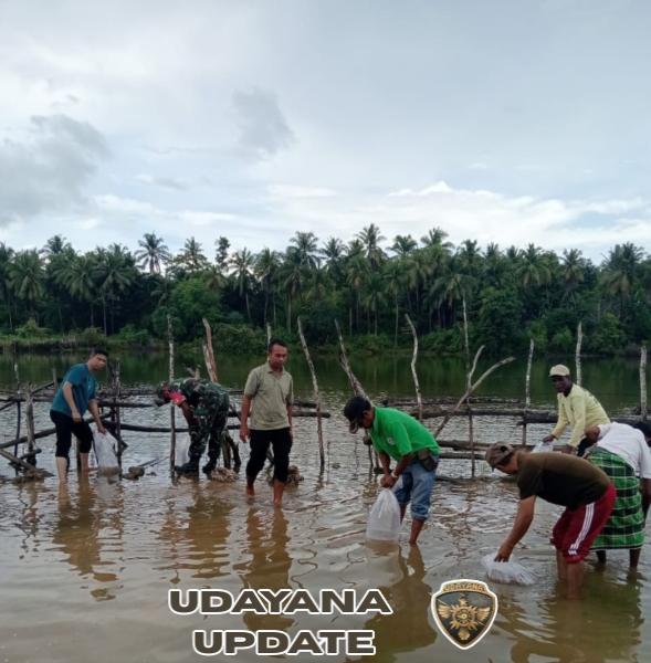 Sinergi Babinsa dan Pemerintah Desa, Benih Ikan Ditebar untuk Tingkatkan Ekonomi Warga