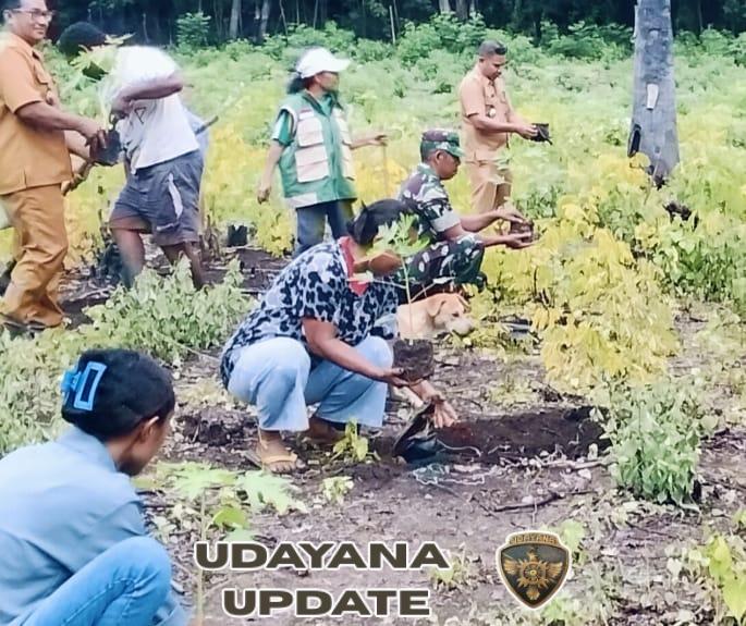Babinsa Aimere Hadiri Penanaman Pepaya Simbolis di Kebun GMIT Desa Legelapu