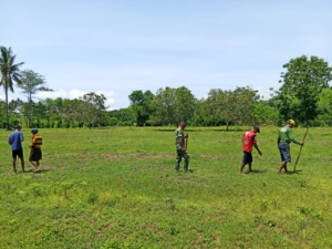 Dukung Ketahanan Pangan, Babinsa Tabundung Bersama Warga Tanam Jagung