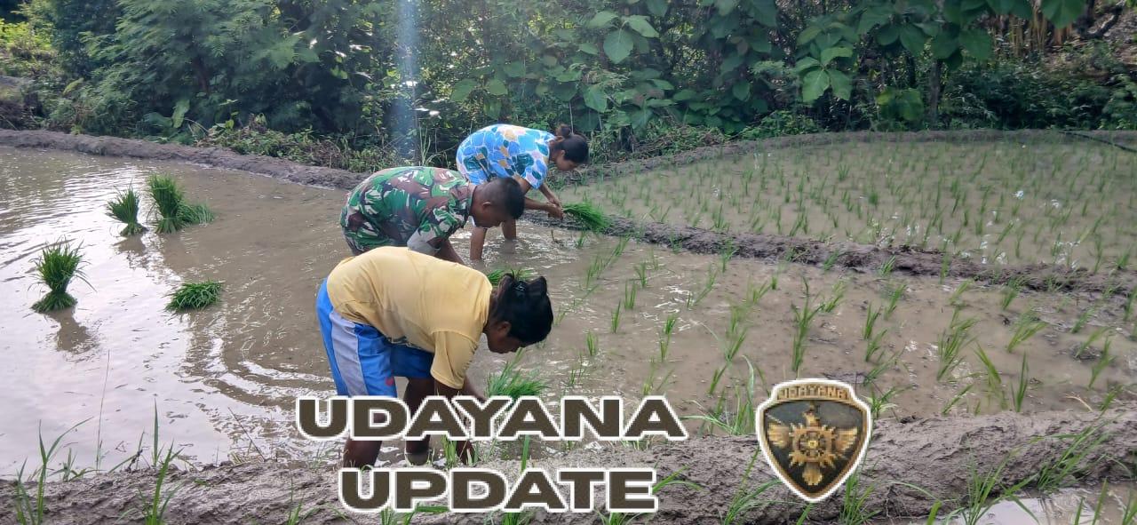 Karya Bakti Babinsa Raenyale Perkuat Ketahanan Pangan Desa